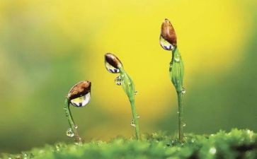 与风同行作文8篇