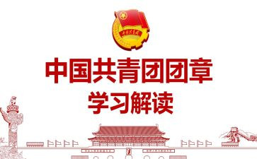 团章学心得体会6篇