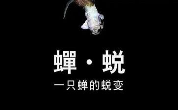 读蜕变心得体会7篇