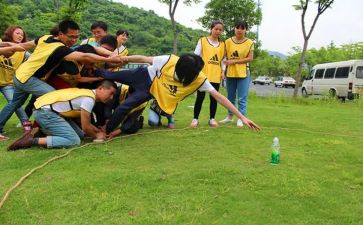 青协素质拓展心得体会推荐8篇