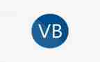 vbse实训心得8篇