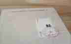 蛙和瓜教案反思模板8篇