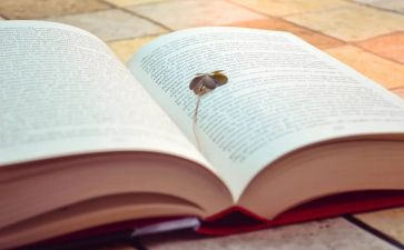 最委屈的事作文5篇