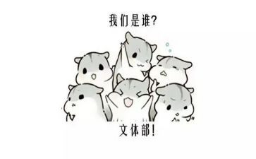 文体社演讲稿8篇