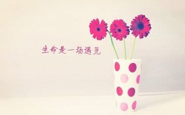 个人总结文字8篇