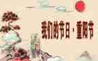 我们的节日端午活动方案7篇