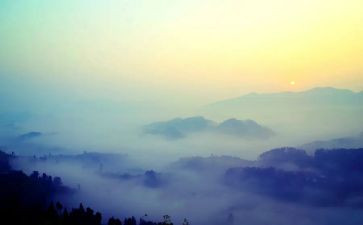 《雾都孤儿》心得体会5篇