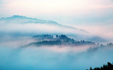 雾都的孤儿读后感7篇