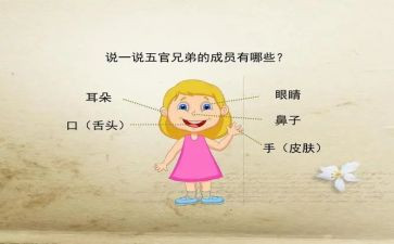 点五官教案5篇
