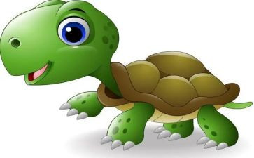 小乌龟优秀作文7篇