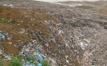 英语环境污染作文7篇