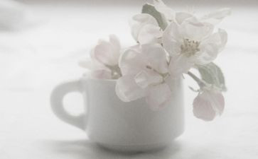 无声较量观后感8篇