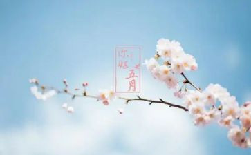 五月份学生会工作计划5篇