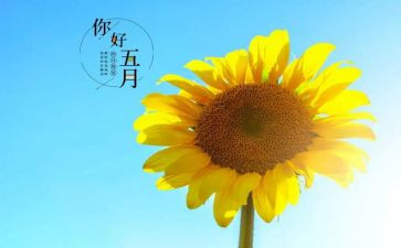 幼儿园五月份工作计划优质7篇
