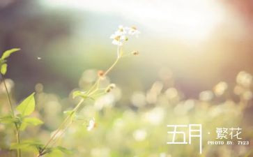 幼儿园小班五月份工作计划8篇
