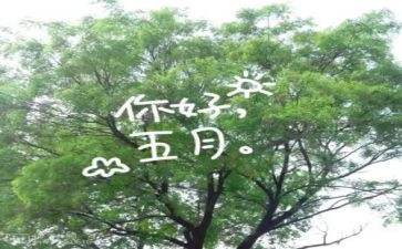 幼儿园五月份月工作总结精选7篇