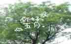 幼儿园五月份月工作总结精选7篇