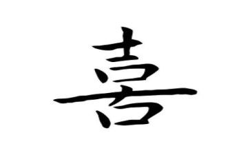 我最喜欢的小狗作文300字优质6篇