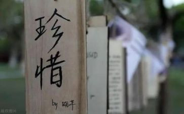 珍惜现在作文800字作文6篇