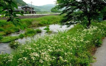 夏季保健室工作计划8篇
