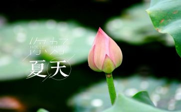 关于夏的作文精选5篇