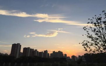 一年级下班务工作计划6篇