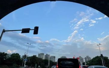 八年级下班主任工作总结优质8篇