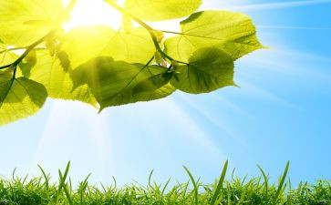 2023年夏季小班工作计划5篇