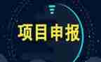项目经理的年度总结优质5篇