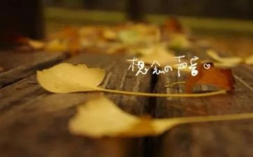 想念温暖的时光作文6篇