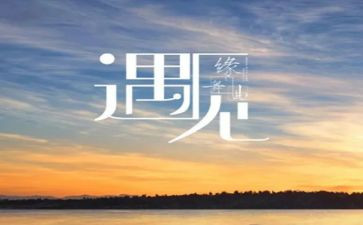 我与相遇的作文5篇
