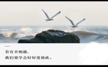 我与书相遇作文模板5篇