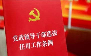 乡镇干部被工作计划6篇
