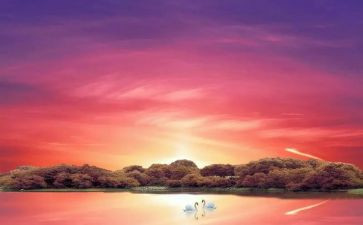 《骆驼祥子》七章读后感5篇