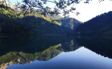 藤野先生读后感读后感精选7篇