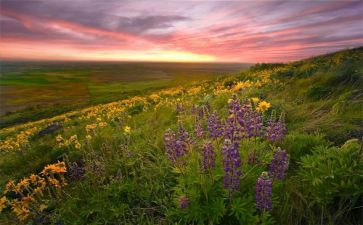 藤野先生读后感读后感优秀5篇