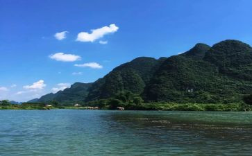 藤,野先生读后感模板5篇