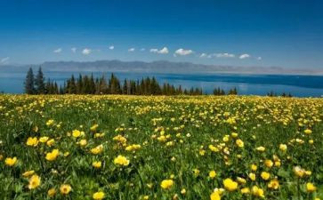 藤,野先生读后感最新6篇