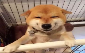 微笑的三分钟演讲稿7篇