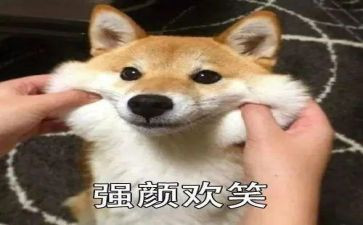笑的场面作文400字6篇