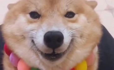 他笑了200字作文5篇