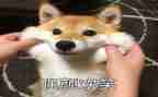 笑的场面作文400字6篇