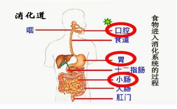 消化工作计划8篇