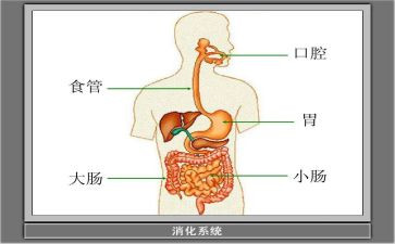 消化科的出科自我鉴定6篇