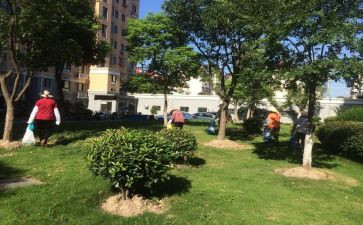 小区物业活动总结7篇