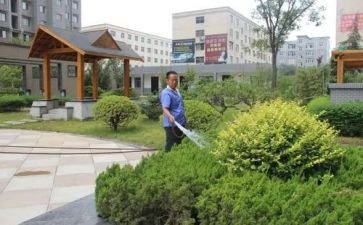 小区物业年度总结报告8篇