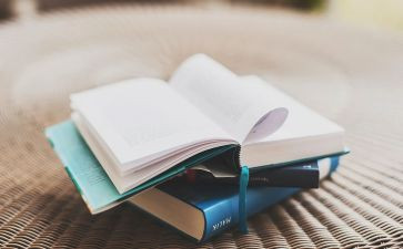 黑鹤动物小说读后感6篇