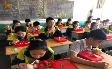 小学生做调查报告优质7篇