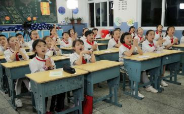 去小学化活动方案8篇