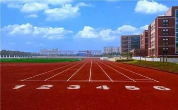校园贷心得体会800字5篇